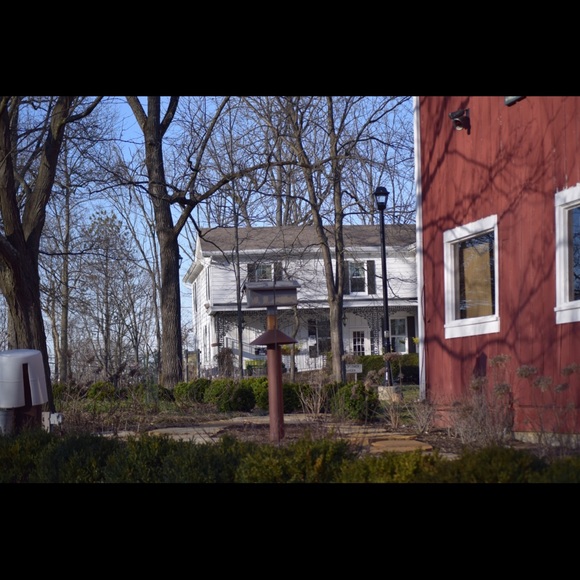 Meet your Posher, Ava - Picture 1 of 1